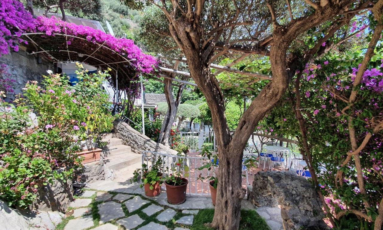 La Maliosa D' Arienzo Bed & Breakfast Positano