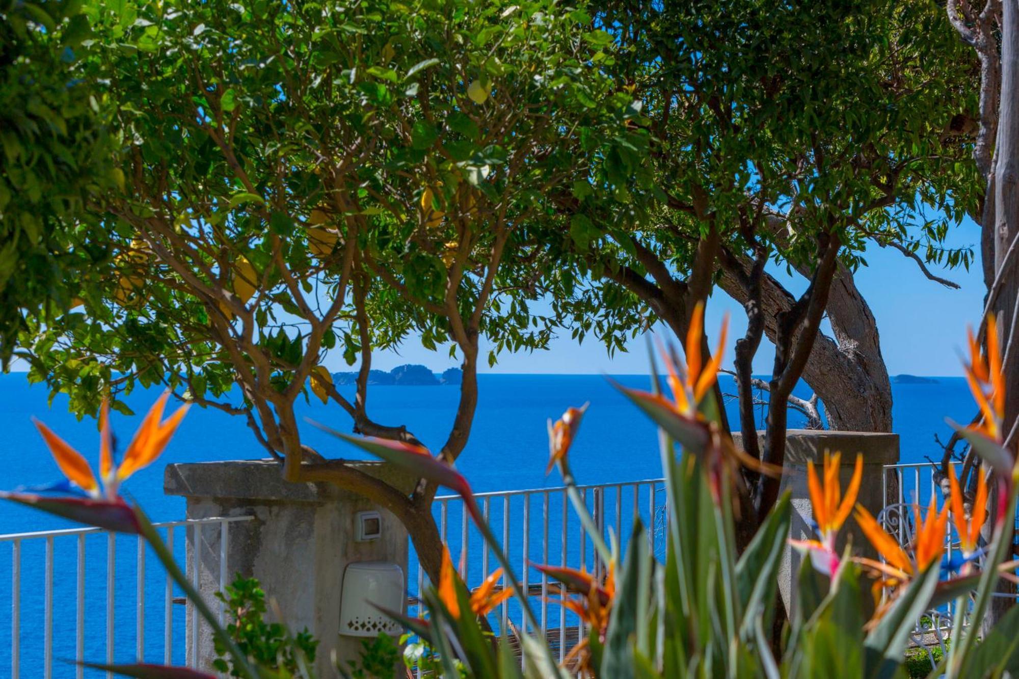 Bed & Breakfast La Maliosa D' Arienzo Positano