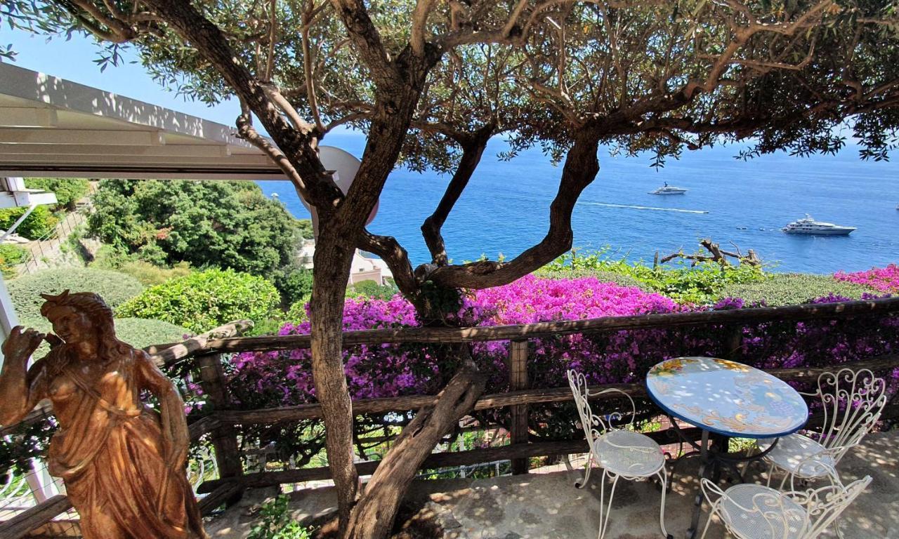 La Maliosa D' Arienzo Bed & Breakfast Positano
