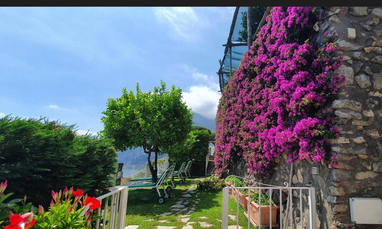 Bed & Breakfast La Maliosa D' Arienzo 3*