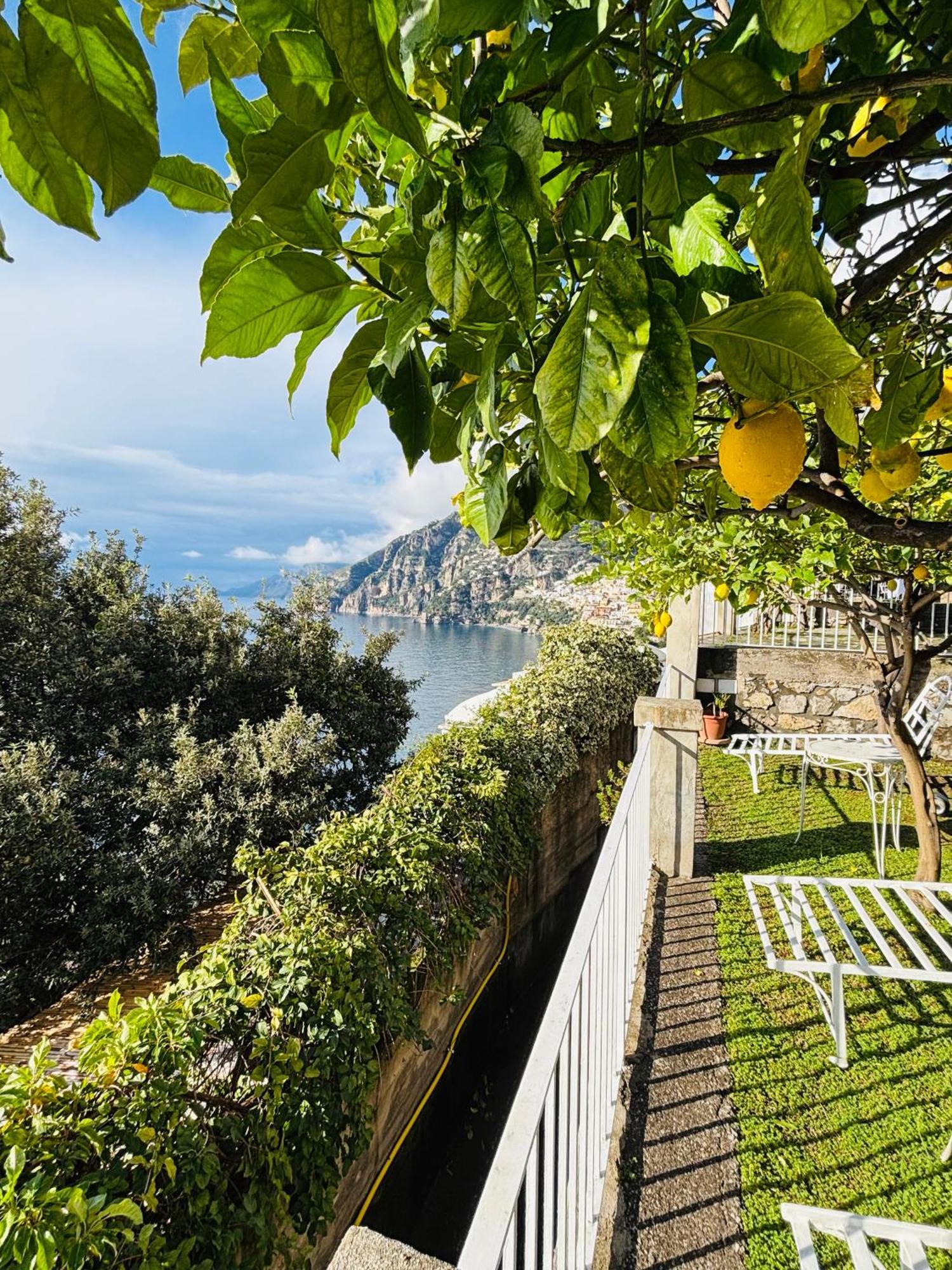 La Maliosa D' Arienzo