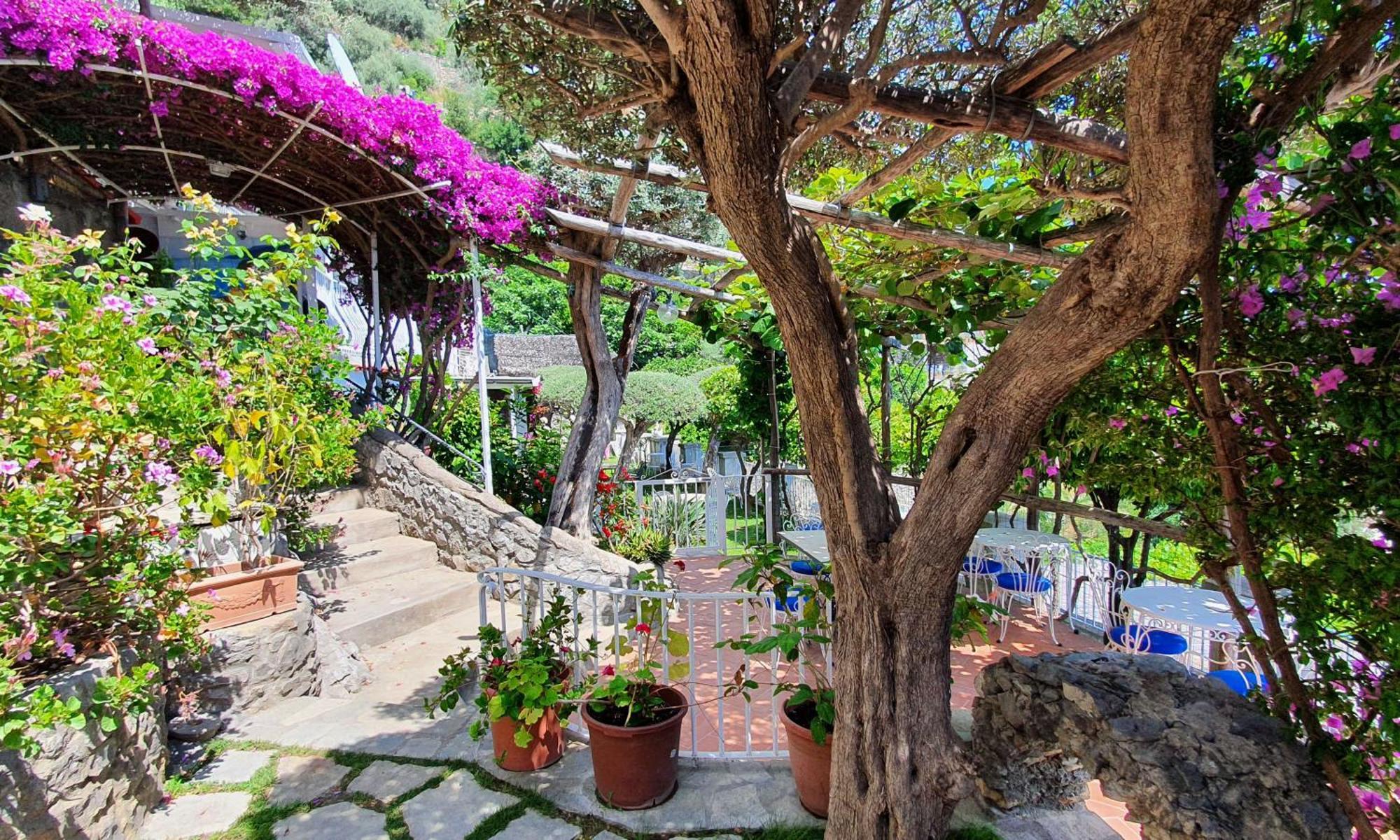 Bed & Breakfast La Maliosa D' Arienzo Positano